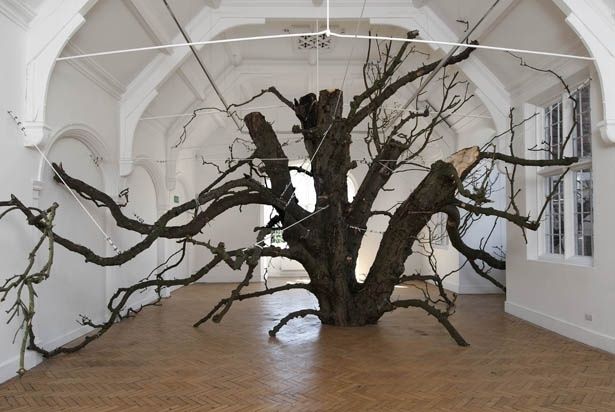 Großer ausladender Baumstamm als Kunstinstallation in einem hellen Saal